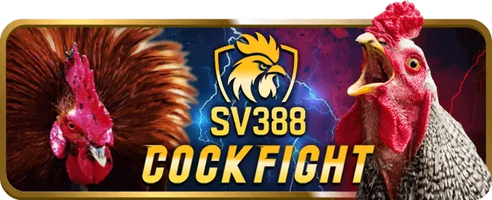 Cá cược thể thao b52club